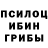 Галлюциногенные грибы мухоморы Sageof SixPaths