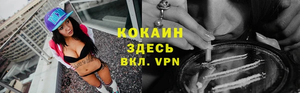 СК Алексин