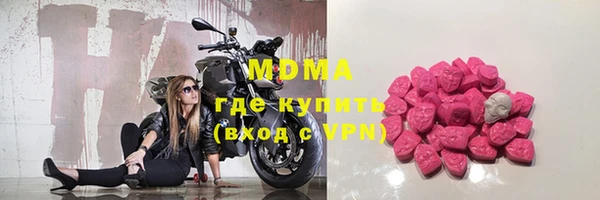 СК Алексин