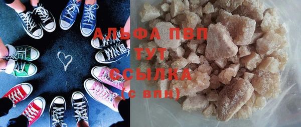 СК Алексин