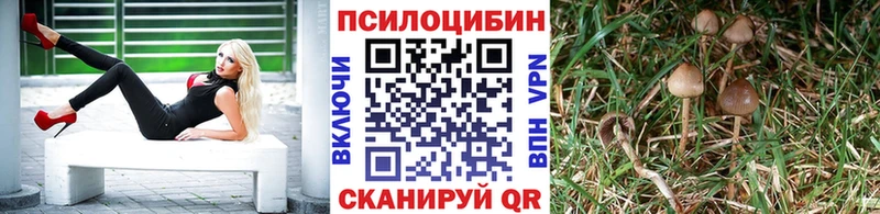 blacksprut ТОР  площадка Telegram  Псилоцибиновые грибы Cubensis  хочу   Мытищи 