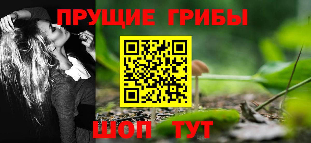 Псилоцибиновые грибы Psilocybe  Вход с VPN  Галлюциногенные грибы прущие грибы  Мытищи 